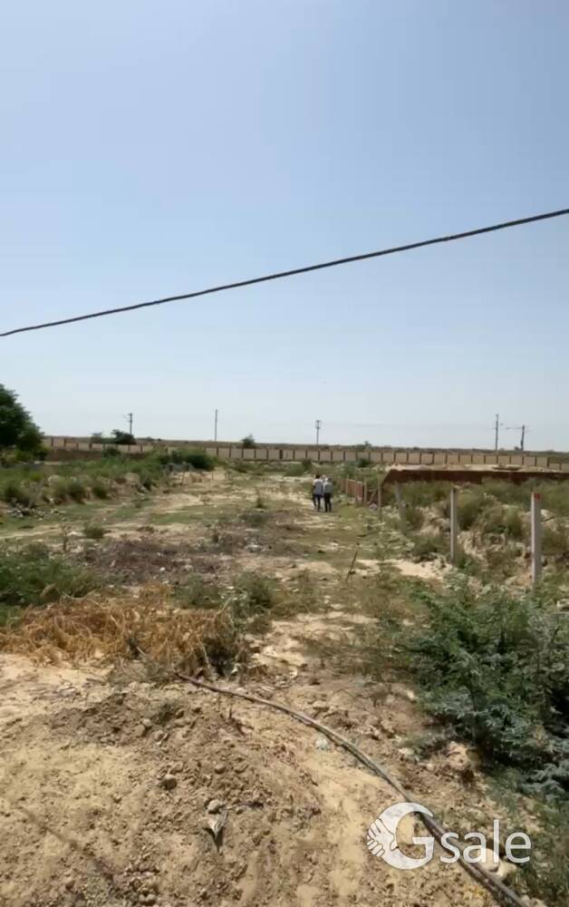 plot sale 