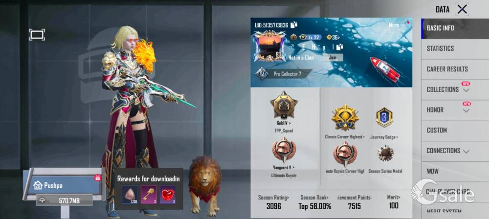bgmi old id 