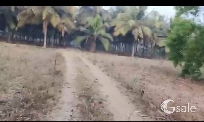 land for sell in karntaka tumkur distric gubbi ner