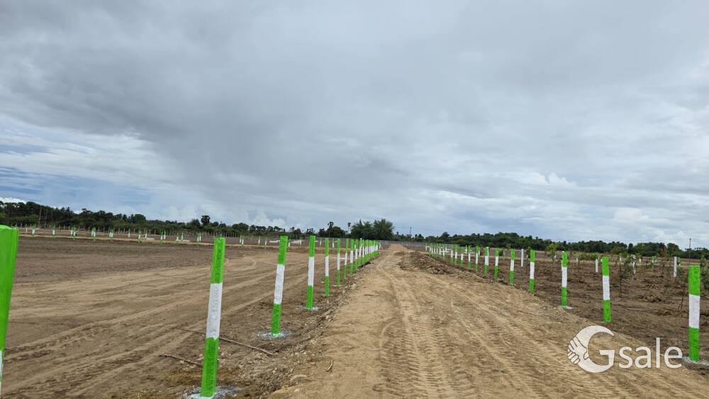 Farm land , Agriculture land, own properties