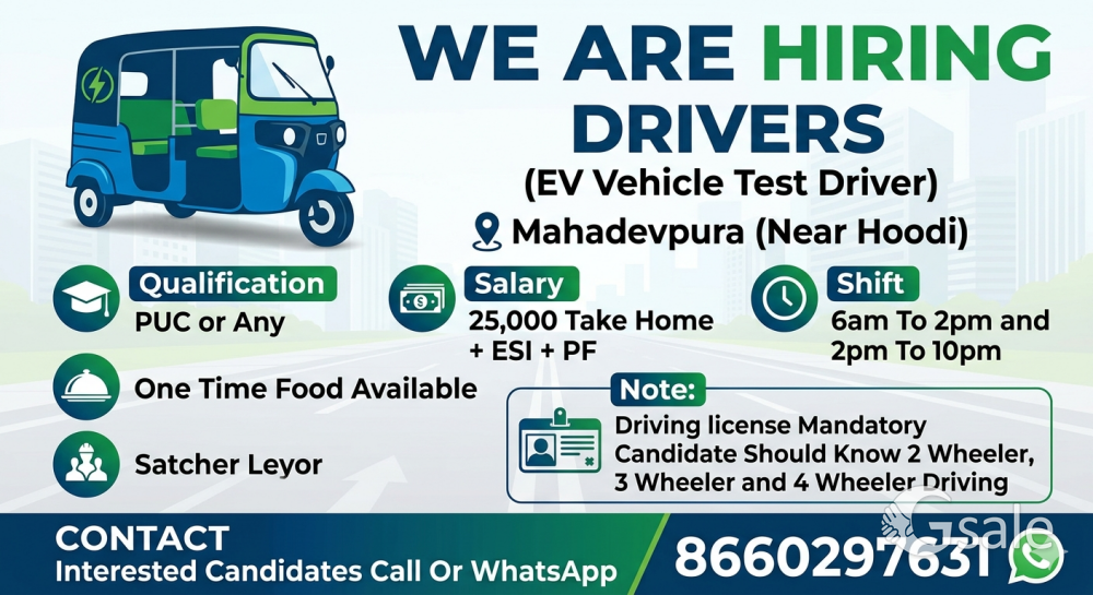 Drive EV Auto Test Driver 