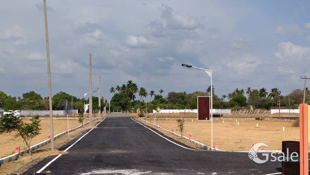 Low budget plots 