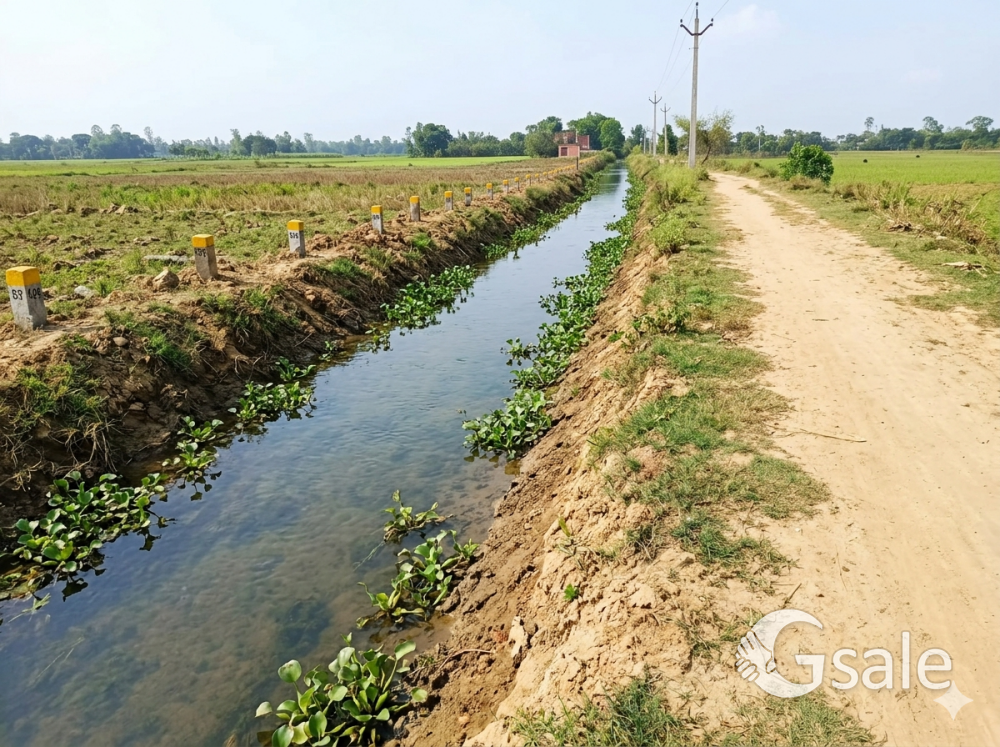 Residential plot in Naubatpur to shivala road near Mahendra logistics bhelupur rampur, Patna 