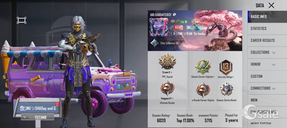 Bgmi id sell