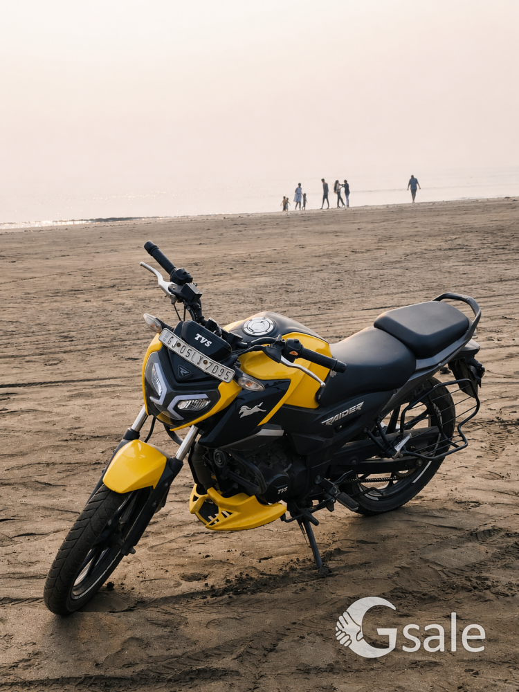 tvs raider