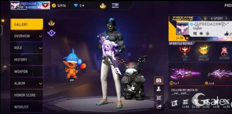 Free Fire ID