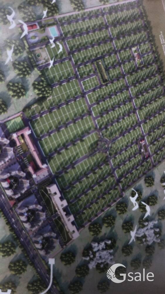 Investment Plots in rajgir on NH82 EMI available 
