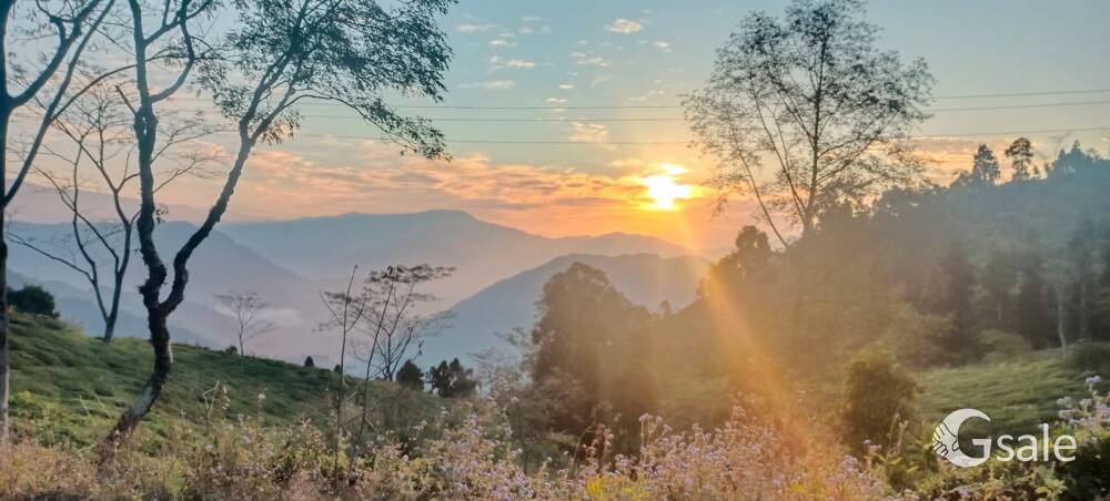 Kanchanjongha view land Sale
