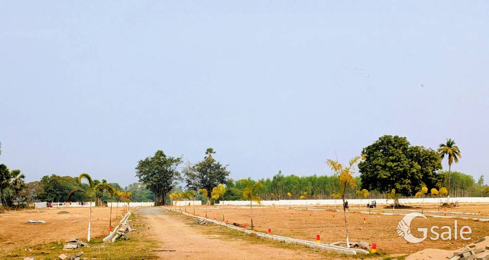 PANCHAYAT & RUDA APPROVAL PLOTS (AVAILABLE) 