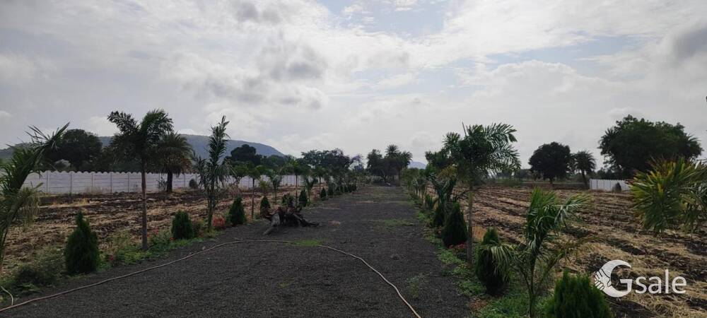Rudrama farmland And Farmhouse