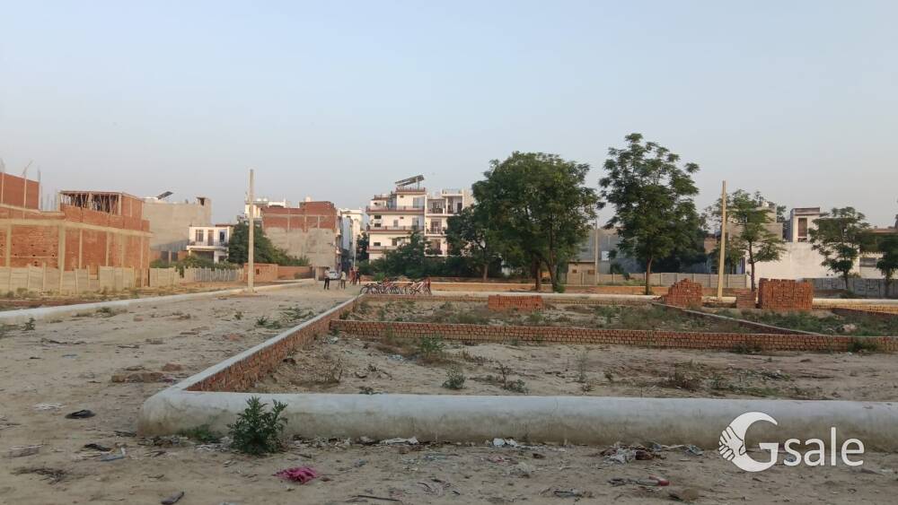 Shamas green city🌲🌲