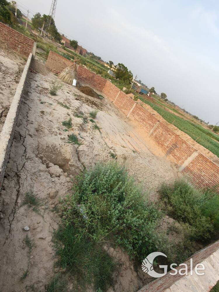 150 gaj plot size area in Derabassi barwala road haripur hinduan Affordable price