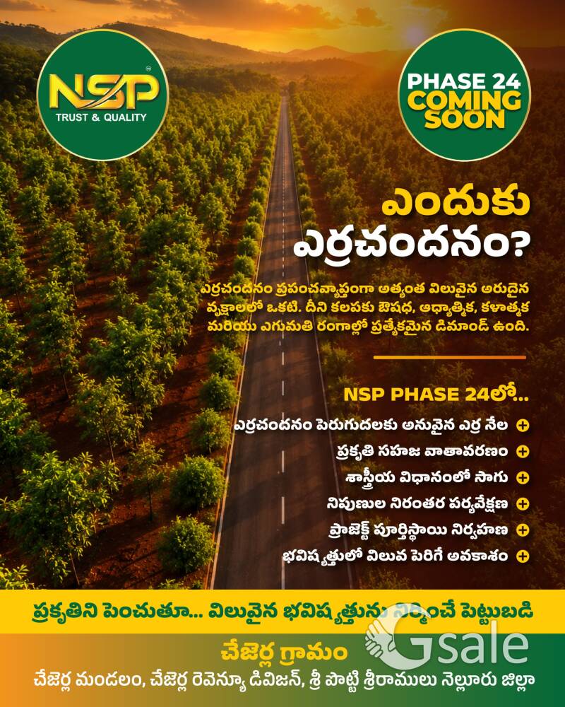 Red sandal farm land plots available to purchase in Nellore district chejara mandal at low price