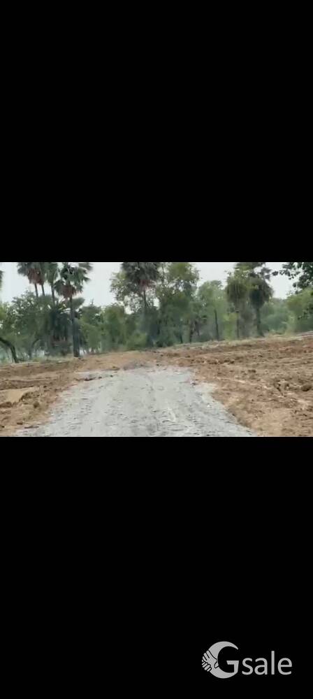 sobhakhap near raishankar asram( Gaya dhobhi road 