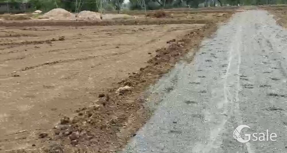 Sobhakhap Near Ravishankar asharm Gaya Dobhi Road 