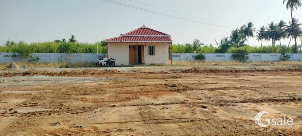 ஸ்ரீ மஹா நகர் 