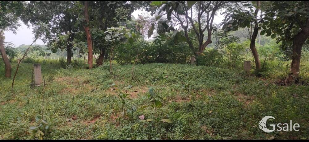 Vuda approved lay out Land for sale in Vijayawada 