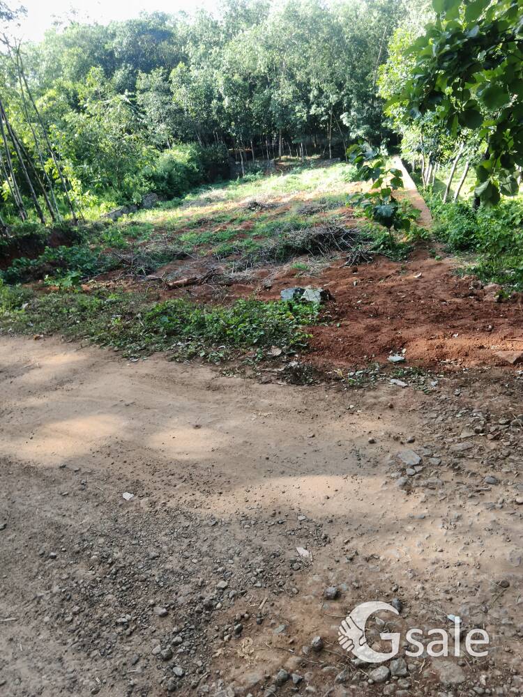 House plots 