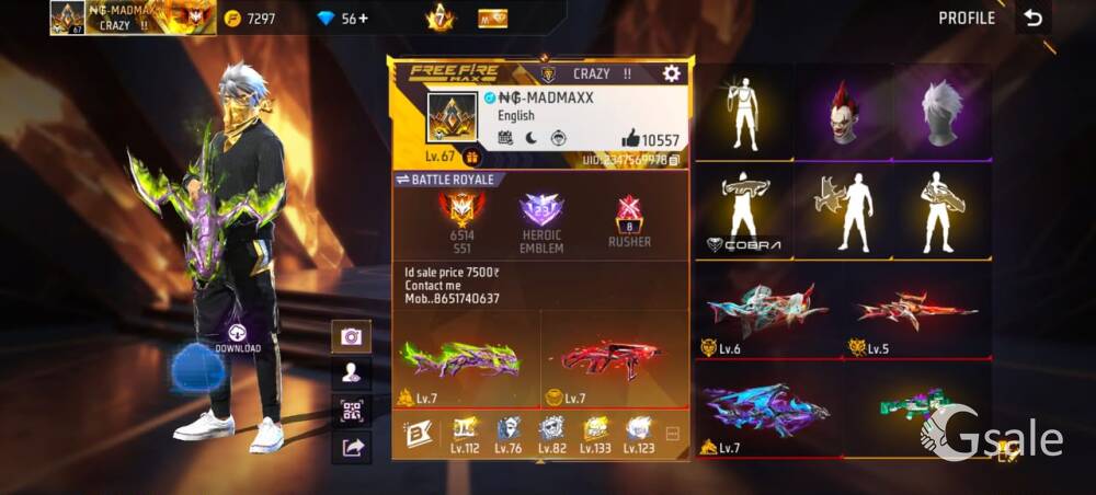 id sall 8651740637