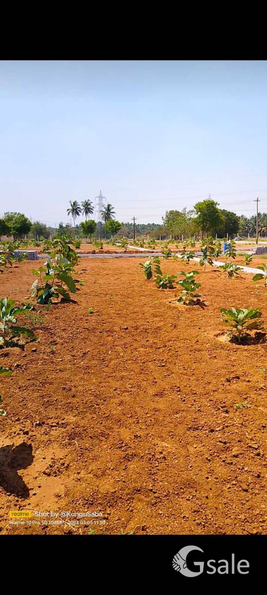 kinathukadavu farm land