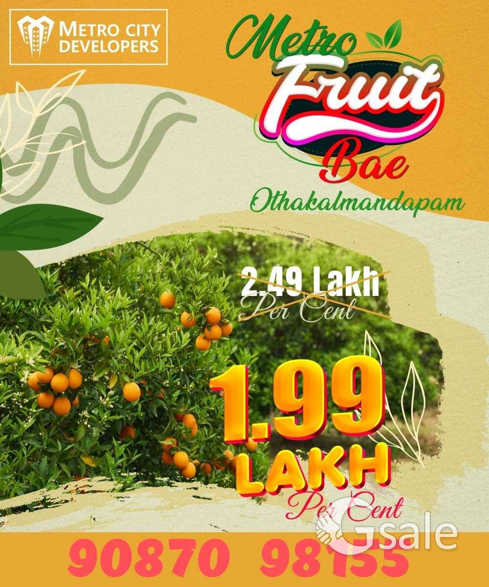 கிணத்துக்கடவு farmlands 