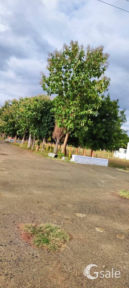 பொள்ளாச்சி வால்பாறை ரோடு அங்குலக்குறிச்சி வீட்டுமனைகள்