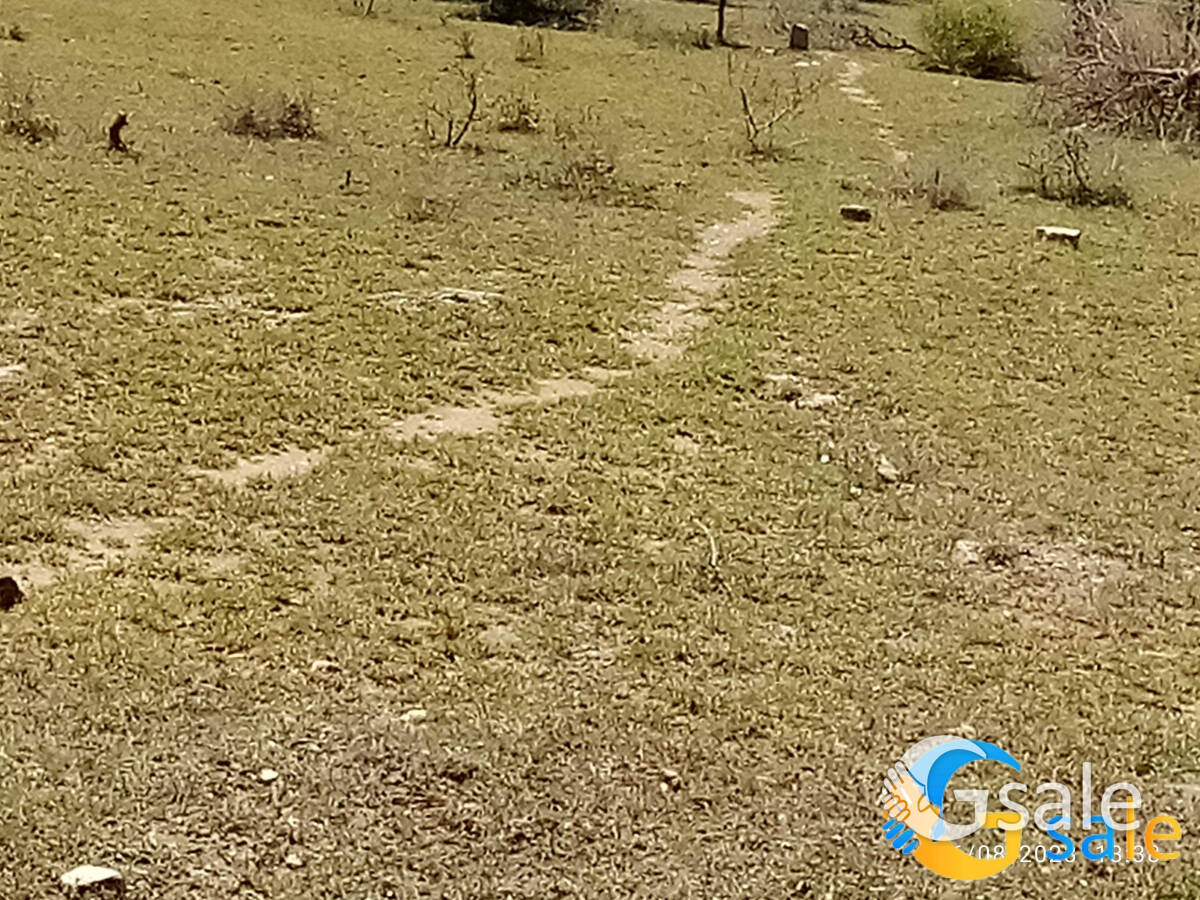 podanur chetipalayam 5.30 cents land sale 