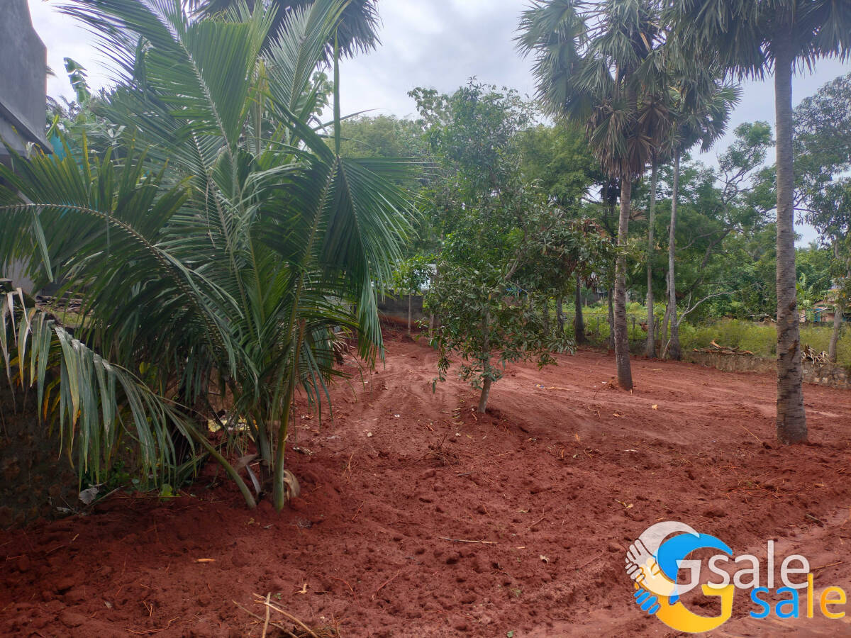 land 5 cent sale near main road Manavalakurichi to Ammandivilai