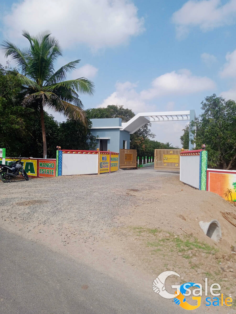 Mango Estate for sale