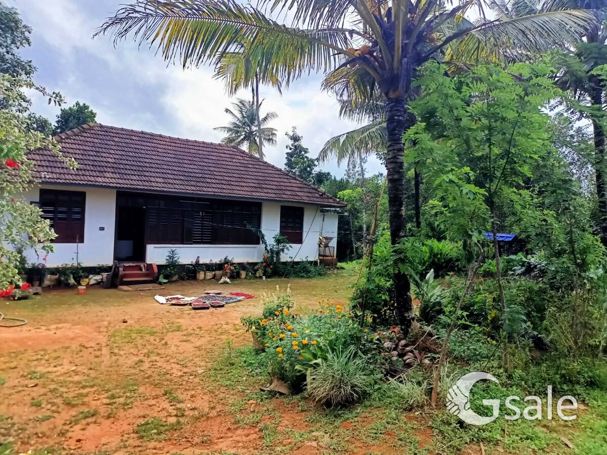 9 ഏക്കർ സ്ഥലം വിൽപ്പനക്ക്