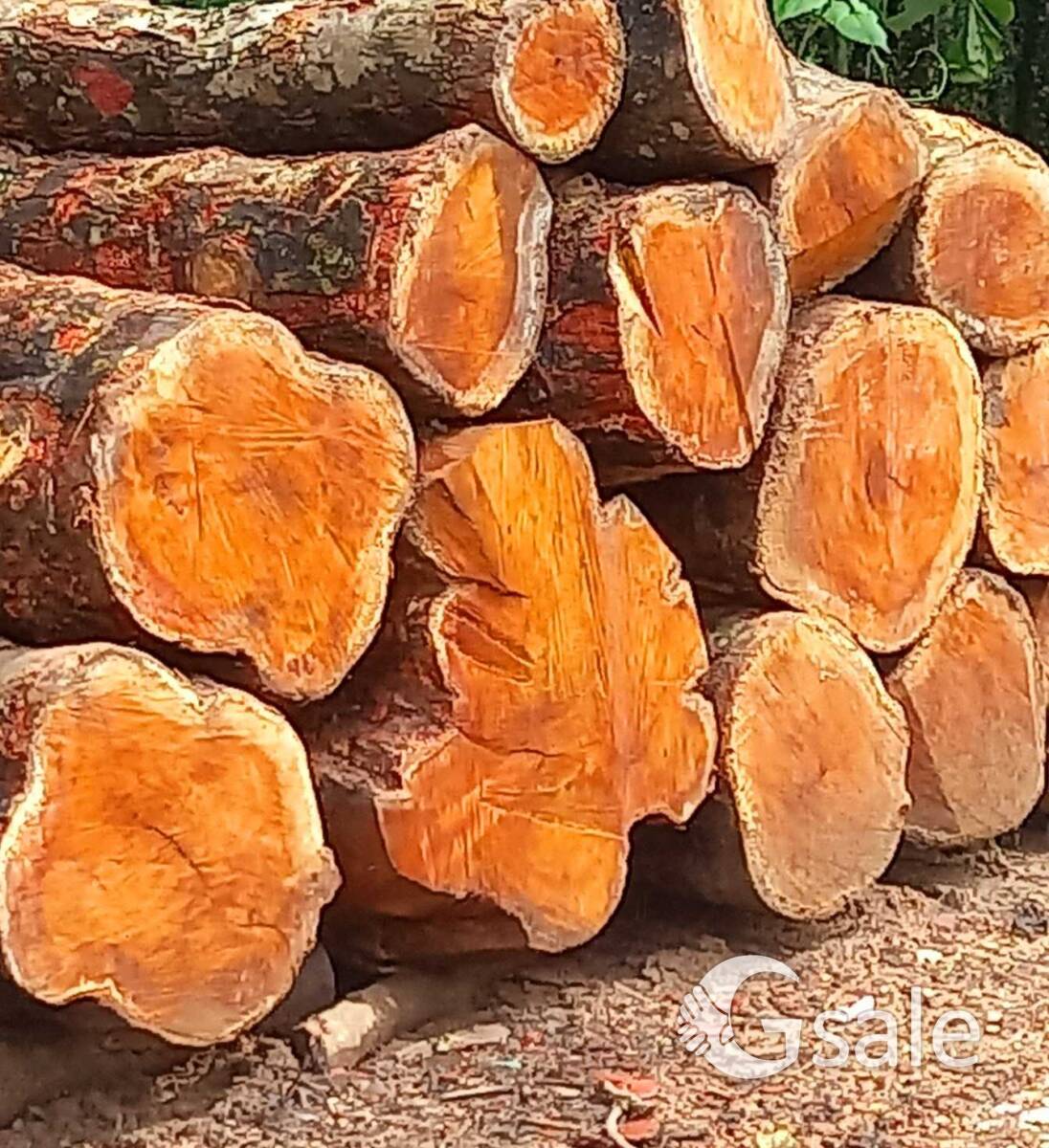 plave for sale 9400767357