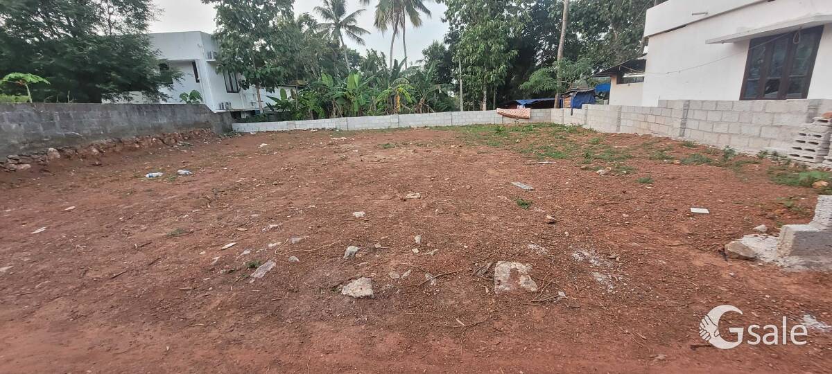 7 cent near st thomas college mangattukonam 