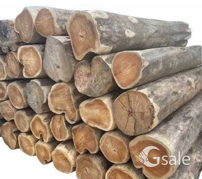 Teak wood 