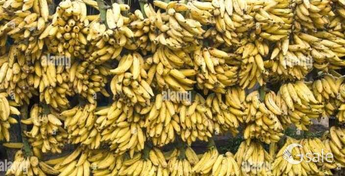 Nanthiram bananas