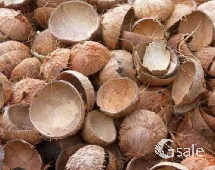 coconut shell (chiratta)