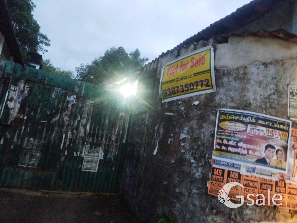 cashew nuts factory 