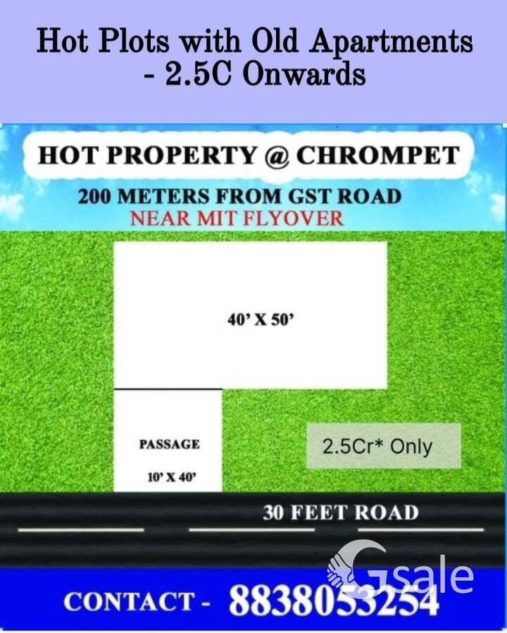 1ground plot 