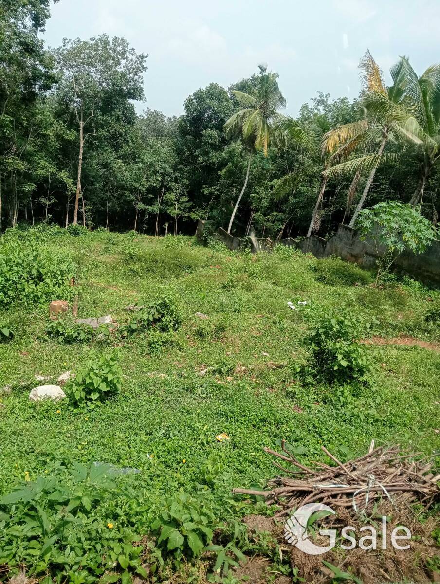 20cent land sale 