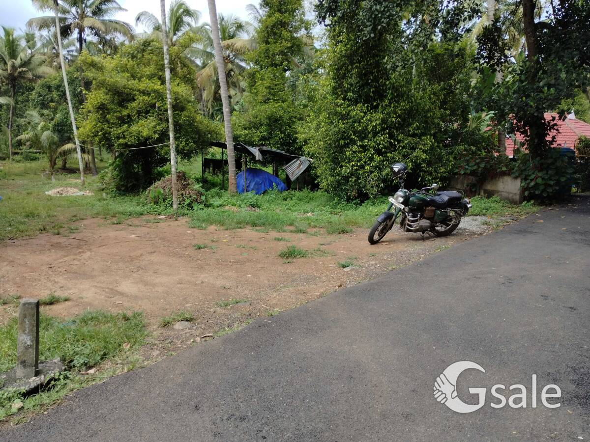Thrissur nadathara 8cent plot 