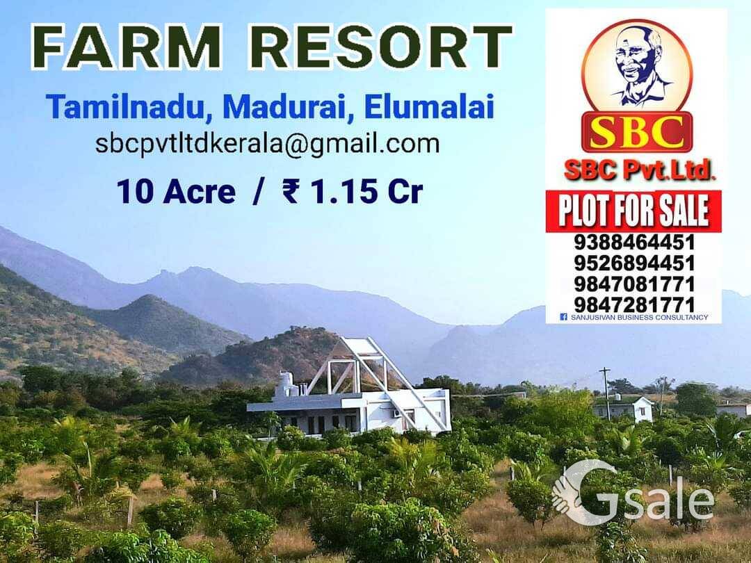 MANGO FARM FOR SALE 