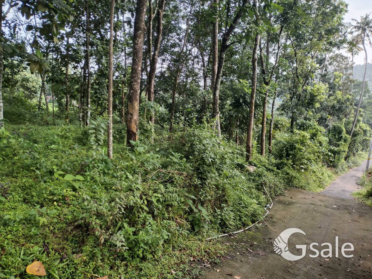 കോട്ടയം - പയ്യപ്പടിയിൽ സ്ഥലം വില്പനക്ക് 