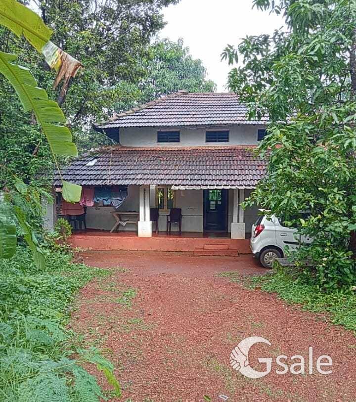 കണ്ണൂർ, പറശ്ശിനിക്കടവ് -മാങ്കടവ് 