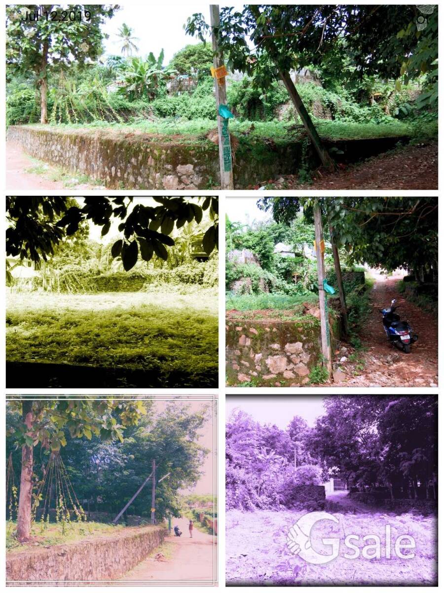 മല്ലപ്പള്ളിയിൽ വീട് വെക്കുന്നതിന് അനുയോജ്യമായ സ്ഥലം വിൽപ്പനക്ക്