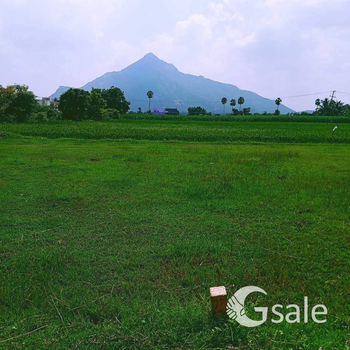 Plot for sale 