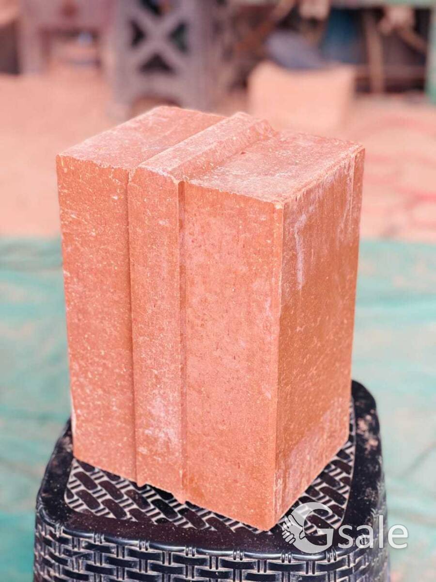 MUD INTERLOCK BRICKS 
