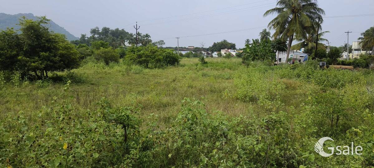 dsk lands and building 