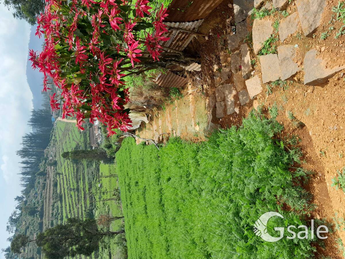 Land for sale in Ooty 
