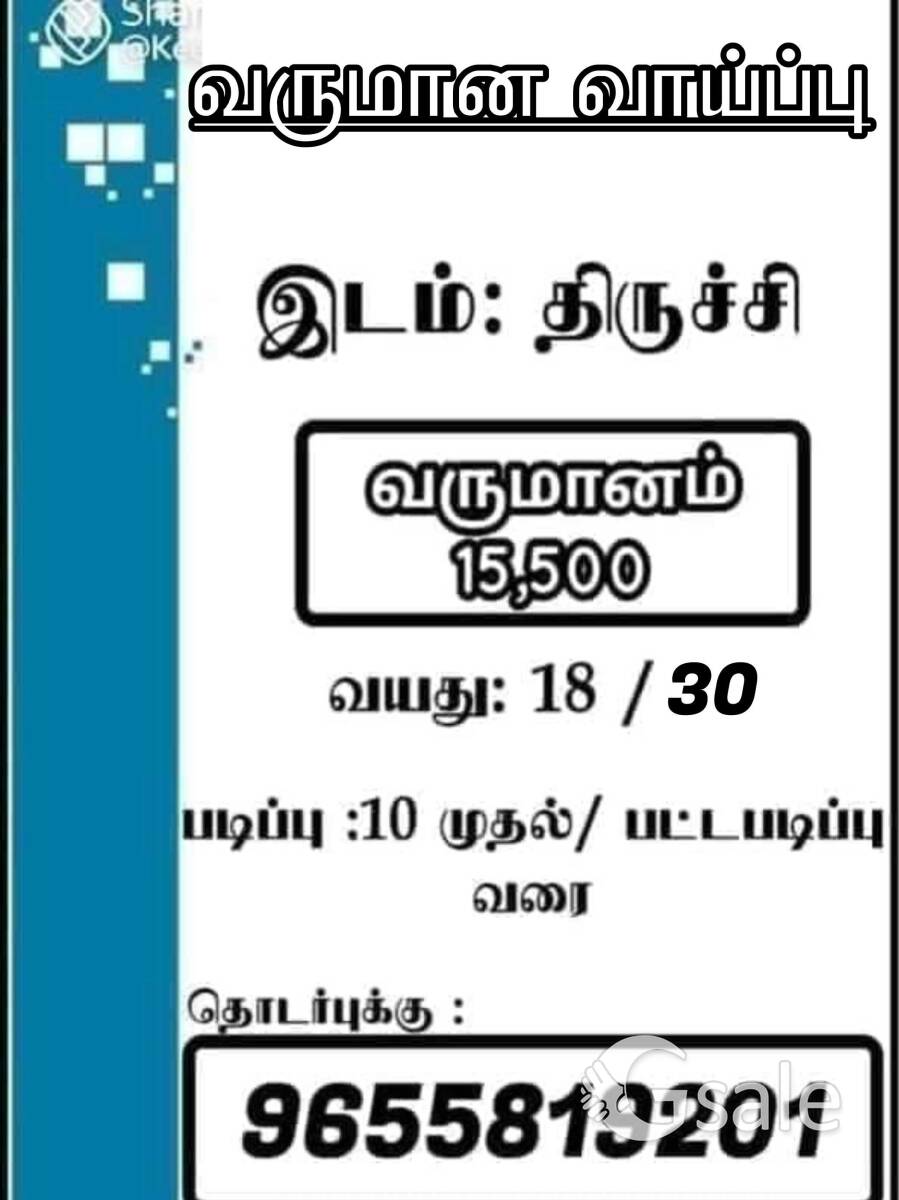 SG  PVT ltd